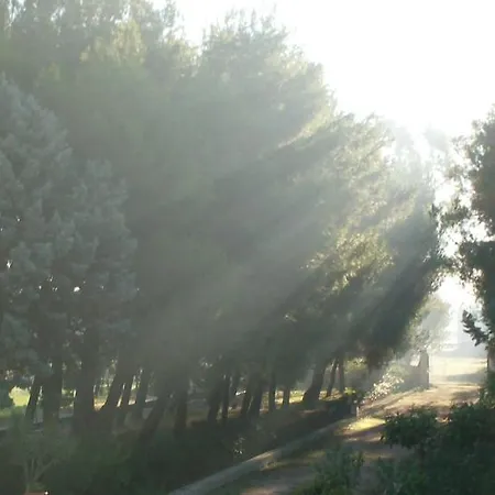 Villa Pizzo Falcone *